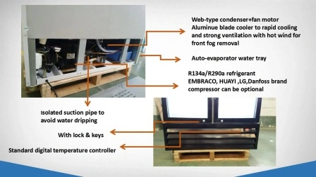 R290 이중 유리 도어 직립 냉장 쇼케이스 음료 및 음료 쿨러 유리 도어 머천다이저